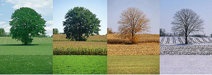 国风汉字解密游戏《梦蝶》Steam页面上线 发售日期待定