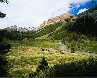 IGN年度游戏玩家投票预测 《黑神话：悟空》遥遥领先