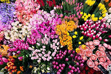 furyu ARPG新作《恸哭机巧》Steam页面上线 7月6日发售